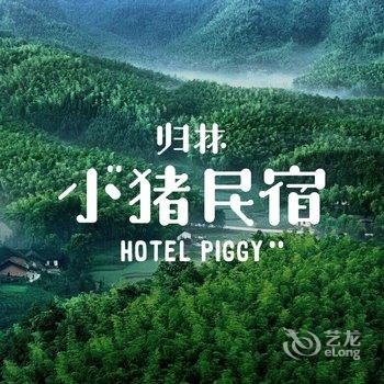 安吉·小猪江南天池观星空民宿酒店提供图片