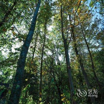 黄山宏顺客栈酒店提供图片