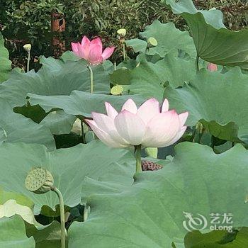 十堰水都民宿酒店提供图片
