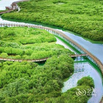 咕咕小窝度假别墅(澄迈红树林湿地体验馆店)酒店提供图片