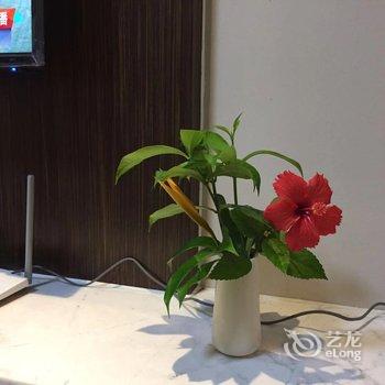 万宁刘小强公寓酒店提供图片