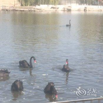 唐山南湖美居公寓酒店提供图片