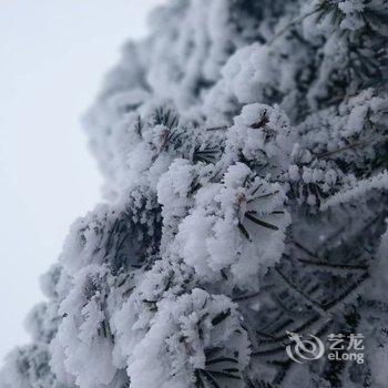 眉山静音阁农家乐酒店提供图片