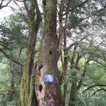 芦溪羊狮幕四季陶陶居农家乐酒店提供图片