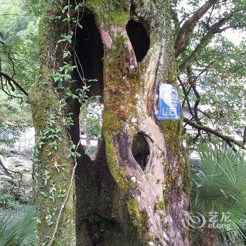 芦溪羊狮幕四季陶陶居农家乐酒店提供图片