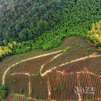 德清凯悦嘉轩酒店酒店提供图片