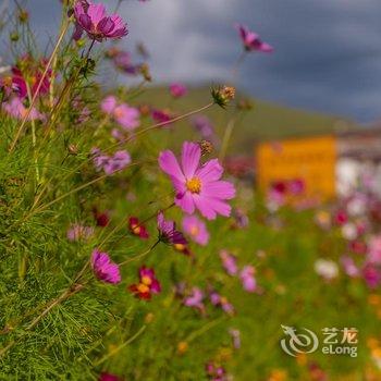 康定途乐林卡大酒店酒店提供图片