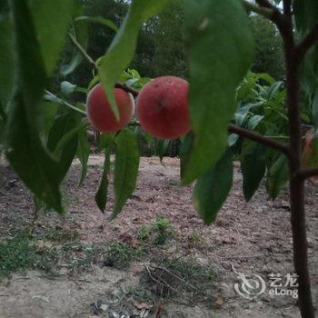 三明云台人家客栈酒店提供图片