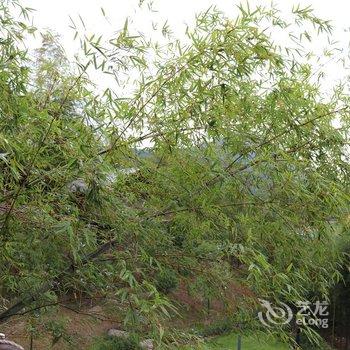 横店竹隐小栖民宿酒店提供图片