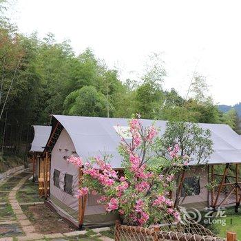 横店竹隐小栖民宿酒店提供图片