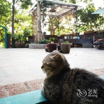 百色花间坊民宿酒店提供图片