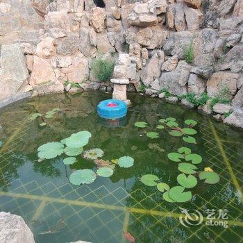 君子居客栈(泰安里峪村店)酒店提供图片