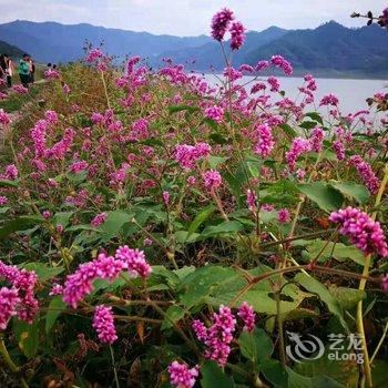 丹东绿江村张氏农家院酒店提供图片