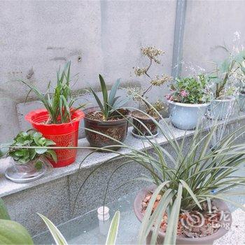 华阴二胖家客栈酒店提供图片