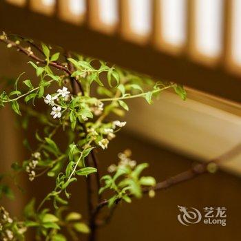 ���ְ������޾Ƶ��ṩͼƬ