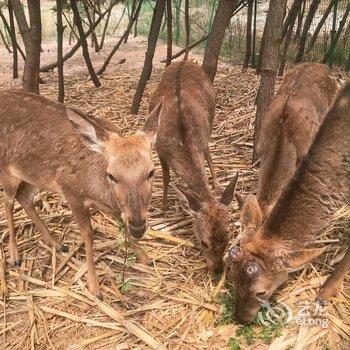 晴天1605公寓(荣成2号店)酒店提供图片