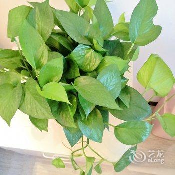 信阳心语星苑公寓酒店提供图片