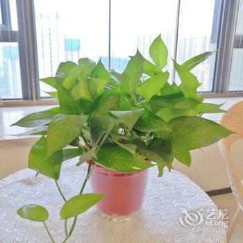 信阳心语星苑公寓酒店提供图片