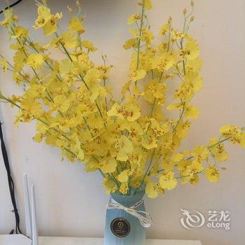 信阳心语星苑公寓酒店提供图片