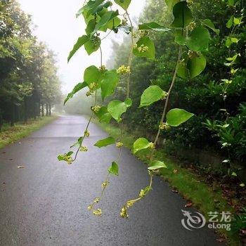 溧阳瑞来山墅民宿酒店提供图片