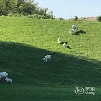 溧阳瑞来山墅民宿酒店提供图片