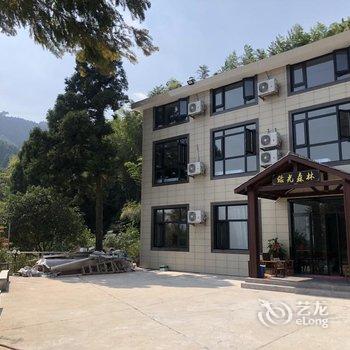 衡阳绿光森林避暑山庄酒店提供图片