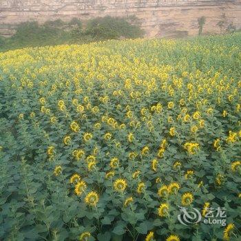 长治隐雲山舍公寓酒店提供图片