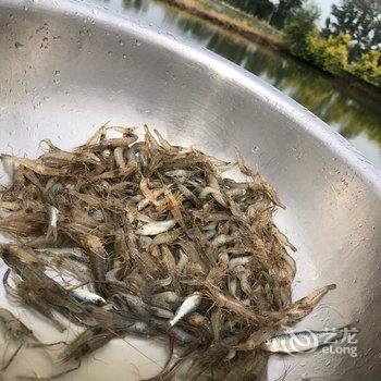 盘锦清水生态农庄酒店提供图片