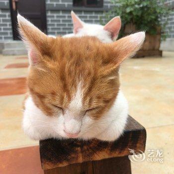 本溪县大雪儿客栈酒店提供图片