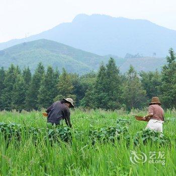 莫干山瀛轩民宿酒店提供图片