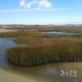 哈巴河爱莲自驾游营站酒店提供图片