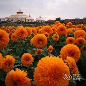 平山湖草原星空度假营地酒店提供图片