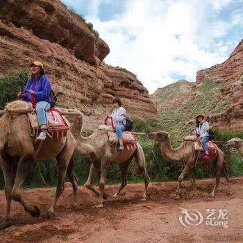 平山湖草原星空度假营地酒店提供图片