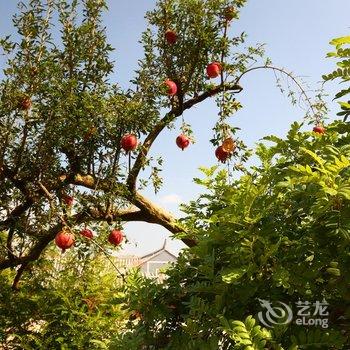 建水陶窝窝度假酒店酒店提供图片