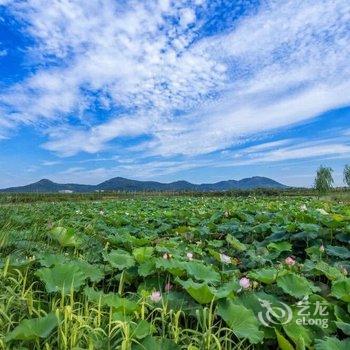 茅山抱朴居客栈酒店提供图片