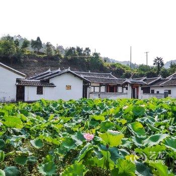 维也纳酒店(武平万星城店)酒店提供图片