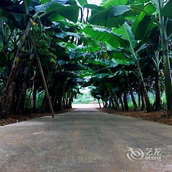 平乐宏源生态农庄酒店提供图片