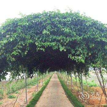 平乐宏源生态农庄酒店提供图片