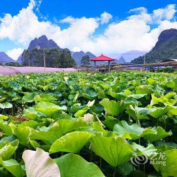 平乐宏源生态农庄酒店提供图片