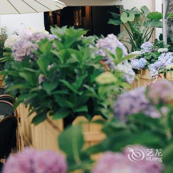 昆明司致行旅酒店酒店提供图片