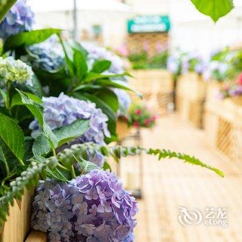 昆明司致行旅酒店酒店提供图片