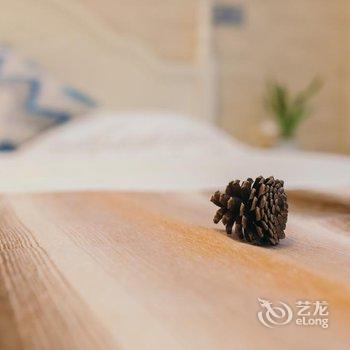 西塘忆夏民宿酒店提供图片