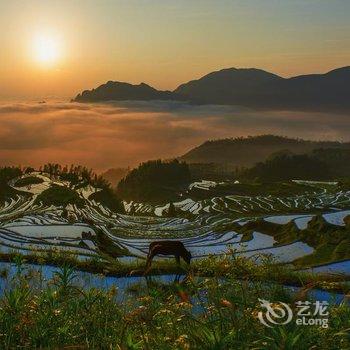 云和梯田清泉石精品民宿酒店提供图片