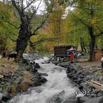 康定陌野藏舍民宿酒店提供图片