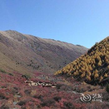 康定陌野藏舍民宿酒店提供图片