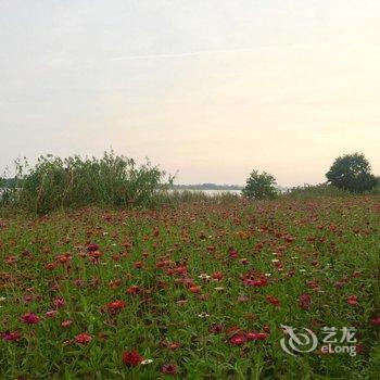 茅山抱朴居客栈酒店提供图片