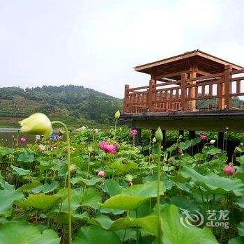 日照小茶山民宿酒店提供图片