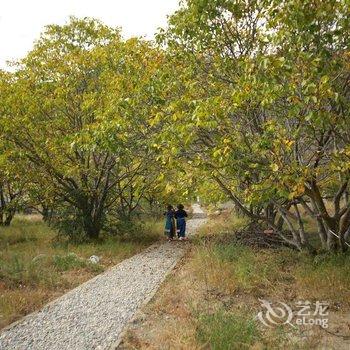 林芝嘎玛康桑度假营地酒店提供图片