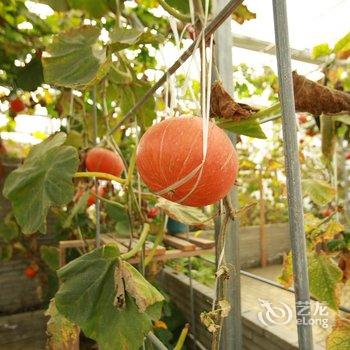 林芝嘎玛康桑度假营地酒店提供图片