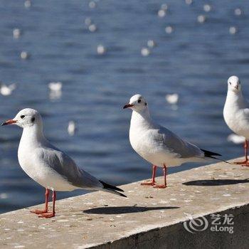 昆明The one一素酒店酒店提供图片